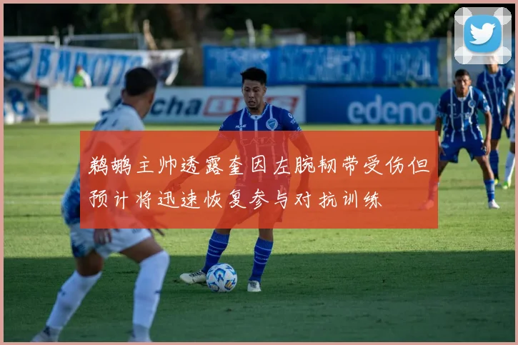 鹈鹕主帅透露奎因左腕韧带受伤但预计将迅速恢复参与对抗训练
