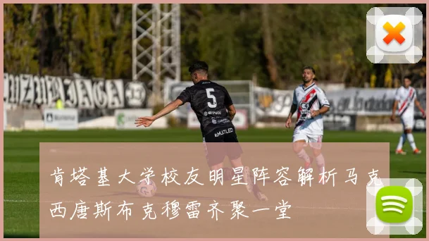 肯塔基大学校友明星阵容解析马克西唐斯布克穆雷齐聚一堂