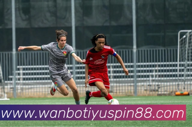 万博体育平台生态图