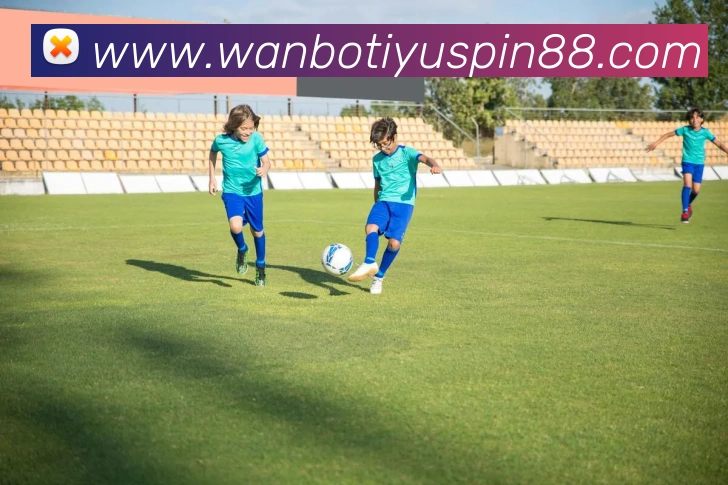 万博体育APP 封面图